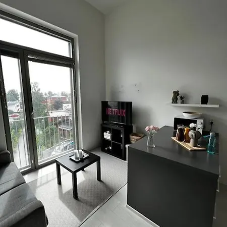 Cozy Penthouse Loft - Near The Airport * Vantaa