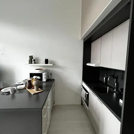 公寓 Cozy Penthouse Loft - Near The Airport 万塔